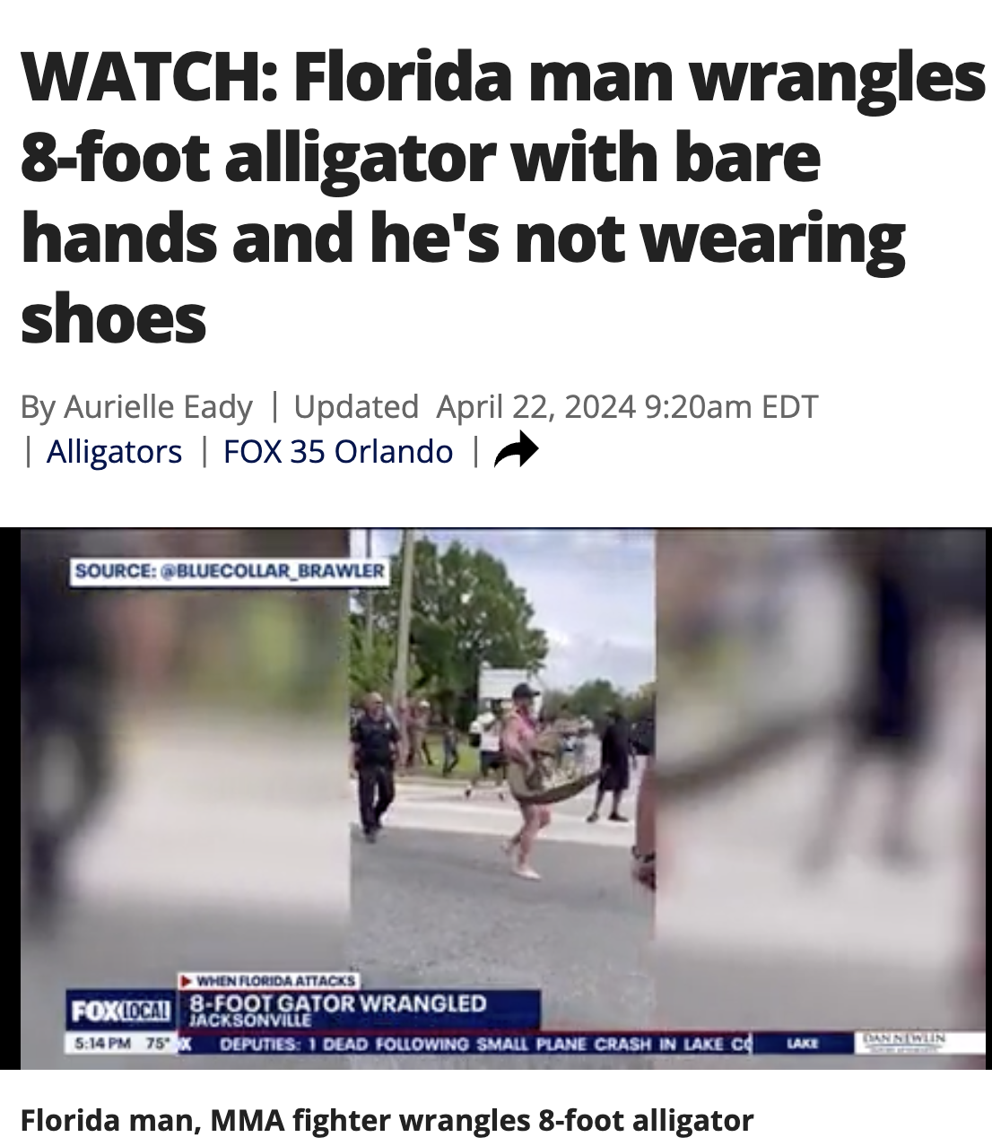 walking - Watch Florida man wrangles 8foot alligator with bare hands and he's not wearing shoes By Aurielle Eady | Updated am Edt Alligators | Fox 35 Orlando | Source Bluecollar Brawler When Florida Attacks FoxFoot Gator Wrangled Jacksonville Deputies 1 D